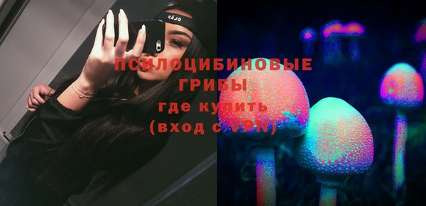 ГАЛЛЮЦИНОГЕННЫЕ ГРИБЫ Вяземский