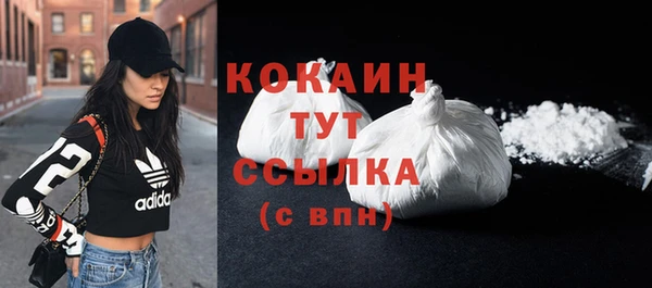 ГАЛЛЮЦИНОГЕННЫЕ ГРИБЫ Вяземский