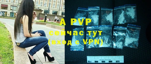 ГАЛЛЮЦИНОГЕННЫЕ ГРИБЫ Вяземский